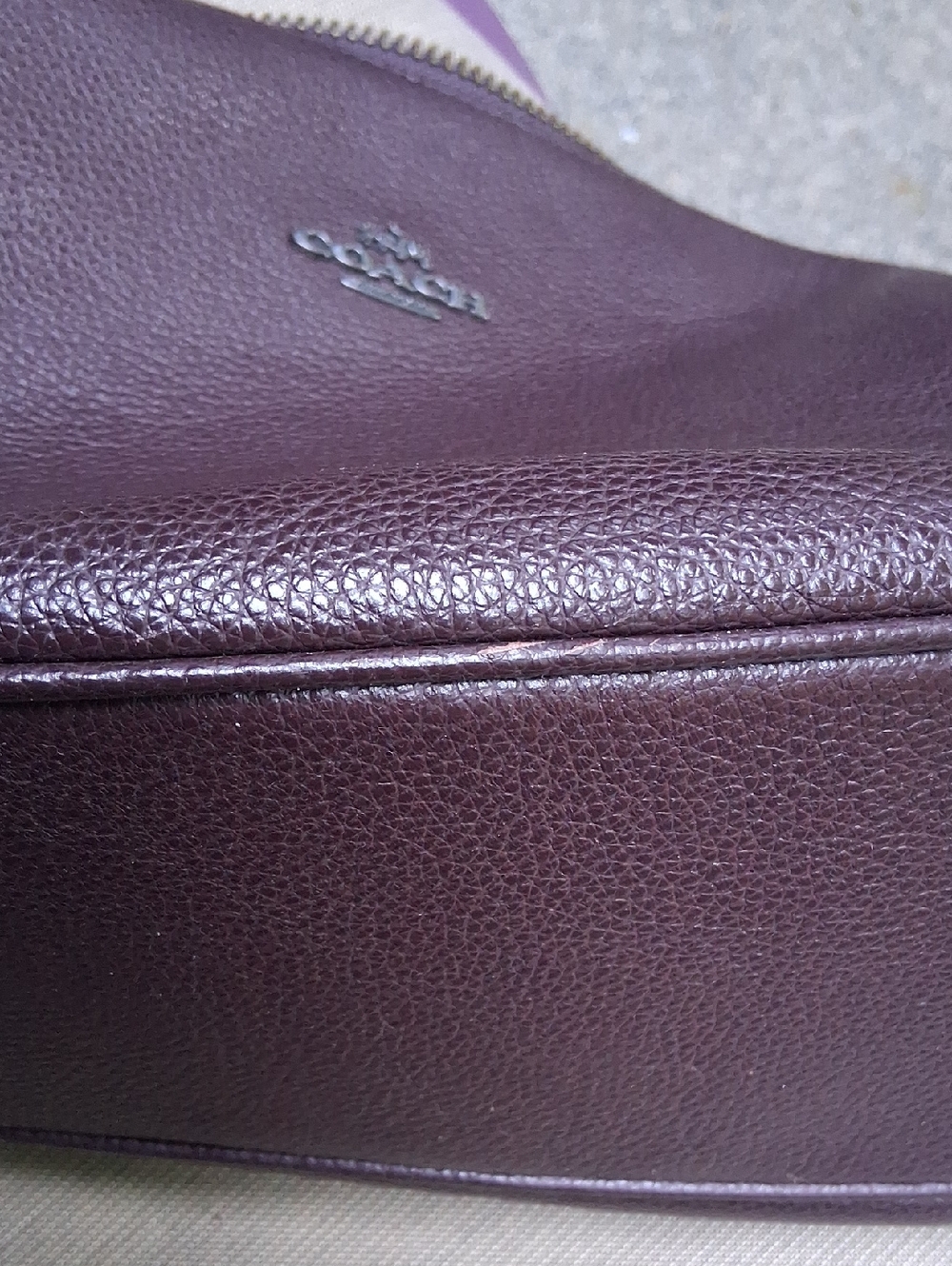 Coach Exotic Trim East/West Harley Hobo May 2017 - Picture 12 of 14